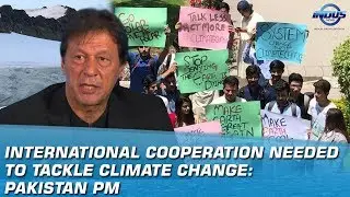 International Cooperation Needed To Tackle Climate Change: Pakistan PM | Indus News