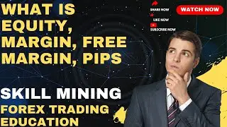 What is Equity, Balance, margin, Free Margin In Forex