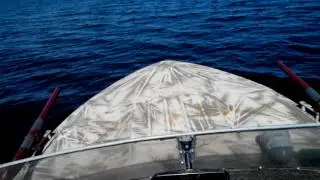Прогресс 2М и Johnson 25