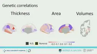 OHBM 2025 | Symposium | Megan Campbell | The Shared Genetic Etiology of Antisocial Behaviour, Schi&hellip;