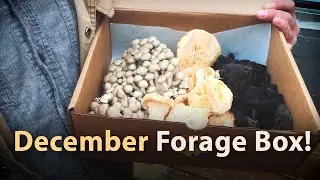 Forage box for December