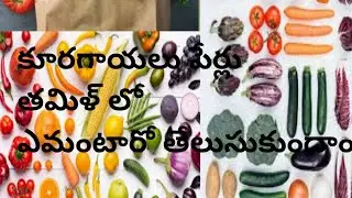 Telugu To Tamil E- learning vegetables names Telugu To Tamil