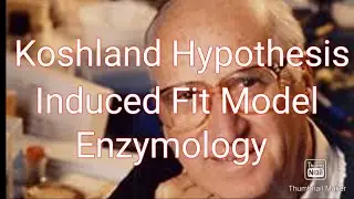#Koshland Hypothesis#Induced Fit Model