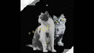 Larry Vs Prince - Beakus