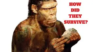 How did the early humans survived? 