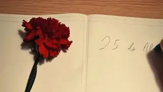 La Révolution des Œillets 🇵🇹 Épisode 6 Lettre à Mes Enfants 25 de Abril