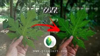 Dark mode photo editing 🍁 | Snapseed tutorial | live focus