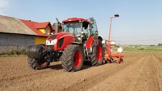 🚜Uprawa i siew Kukurydzy🔥Zetor Forterra 150 HD, 115, Maschio Gaspardo🔥| Gr Jędruch