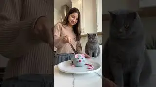 Wow Cute Cat Freaks Out Cutting Pranks Gones Wrongs #soraai #sora2 #cat #catcake #catlovers