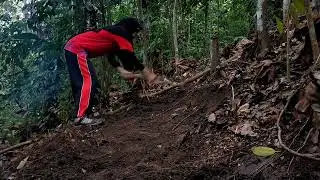 SOLO CAMPING OVERNIGHT MEMBUAT RUMAH POHON DIHUTAN ANGKER SAAT HUJAN DERAS SUARA ALAM