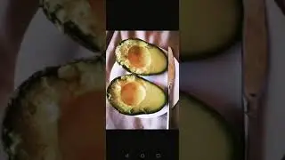 AVOCADO #shorts #shortsfired #youtubeshorts #vlogster