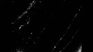 Axonal transport of synaptophysin-mCherry in adult nerve cells in culture