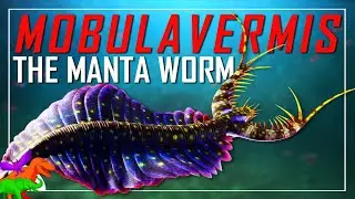 Nevada&rsquo;s First Apex Predator Was A Giant Manta Worm