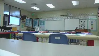 School Consultant Rejection