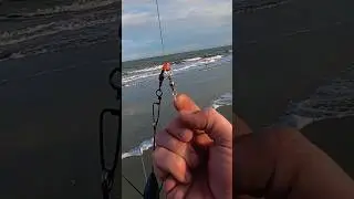 SURF FISHING TIP: Leader Line Vs Main Line Weight #beginner #surffishing #fishing #heavy #beach