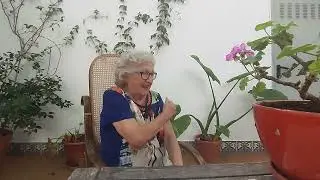 Documental de la Romería en Montoro