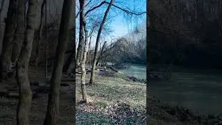 Our Off-Grid Micro Cabin Next To A Creek!