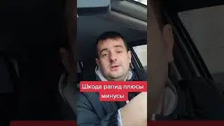 Шкода рапид плюсы и минусы