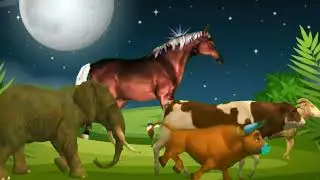 cartoon tiger monkey zebra cow animal  cartoon tiger monkey zebra cow animal  cow elephant dunoduar