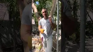Bimini Twist vs Improved Blood Knot