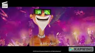 The BS-USB (BSUSB CWACOM2)