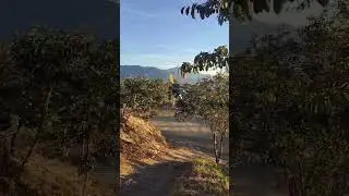 Nungou Village Manipur Northeast India ⛰️🌄🏞️ #manipur #travel #nature #ukhrul #northeastindia#sunset