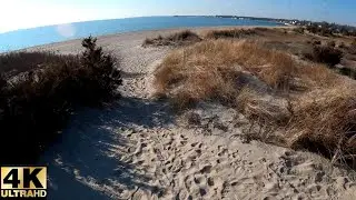 4K Virtual Walk - A Sunny January Beach Walk (ASMR- No music or speaking)