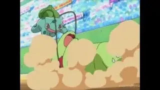Bulbasaur Owns Meganium