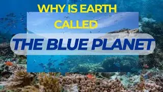 The Oceans- why is Earth called 'THE BLUE PLANET'?#Oceans #GlobeGuide #MarineLife #facts #BluePlanet