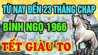 Xuất Hiện Điềm Báo: BÍNH NGỌ 1966 Có Căn Đại Phú Quý Nghèo Mấy Cũng Giàu Từ Nay Đến 23 Tháng Chạp