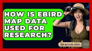 How Is EBird Map Data Used For Research? - Bird Watching Diaries