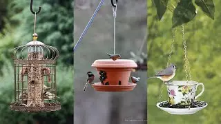 Attracting DIY Birds Feeders | Creative Ideas