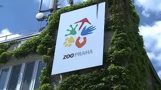Zoo Praha bude dočasně ř&iacute;dit &scaron;&eacute;f odboru ochrany prostřed&iacute; &Scaron;těp&aacute;n Kyjovsk&yacute;