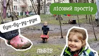 Лісовий простір 