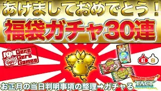 【ドラクエタクト】福袋ガチャ30連＆新年の当日判明事項の整理【新年】