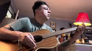 A few more chords&hellip;#acoustic #guitar #practice #seagull #guitars