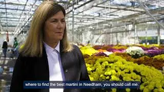 Jane Migdol - Realtor (Needham, MA) - Gibson Sotheby's International Realty