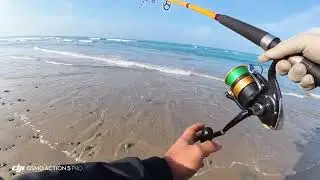 Playa mar y sol 
