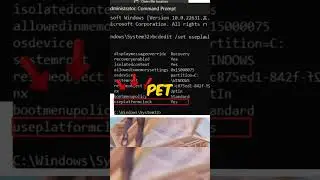 Windows is secretly delaying your inputs, turn this off now! #pc #gaming