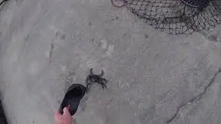Southwest Florida backyard fishing