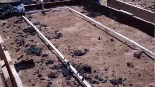 Amending the Soil with Biochar AgroDiamonds and Azomite
