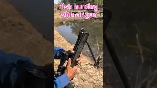 Carp fish hunting with airgun🔥 #nx200 #youtubeshorts #shorts