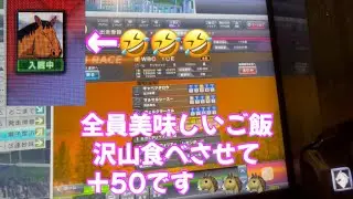 発動馬リサーナメルクティ🐴・ω・⑥王道継続へ‼️再びWBC🐴
