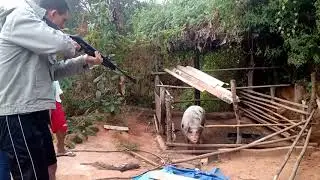 #ABATE DE PORCO COM CARABINA PRESS&Atilde;O x1000# 🌾 AVENTURAS NA RO&Ccedil;A 🌾