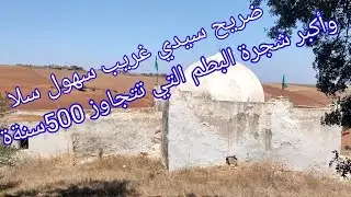 ضريح سيدي غريب الولي الصالح سهول سلا