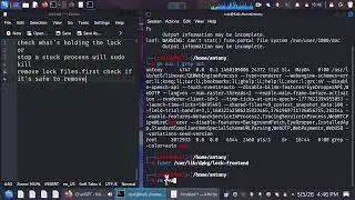 Fixing Cache Lock on Kali Linux: Keep Your Package Manager Running Smoothly.
