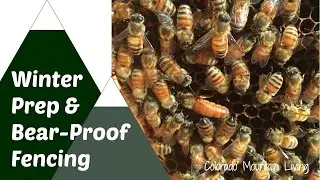 Beekeeping in Mountains Winter Prep, Inside my beehive and solar electric fence to keep out bears