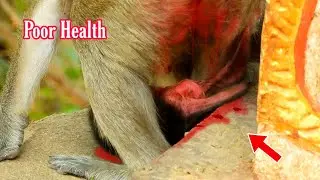@POPULARDAILY Look Very Pity Mum Marci She is Very Tired and Poor Health after Gave Birth Newborn