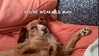 My Dog Shows Him Who's Boss