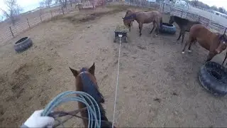 Dill Practices His Rope Handling - Ride 24
